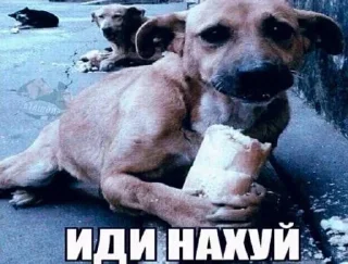 🌟 emoji Кто прочитал тот лох @TgEmodziBot Telegram sticker 9 of 26