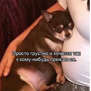 😞 emoji Аф спешл Telegram sticker 12 of 41