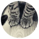 😼 emoji Nice Cats @StikeryTG Telegram sticker 7 of 20