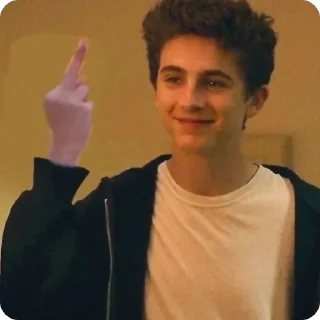 🖕 emoji Timothée Chalamet (@tfberg) Telegram sticker 8 of 49