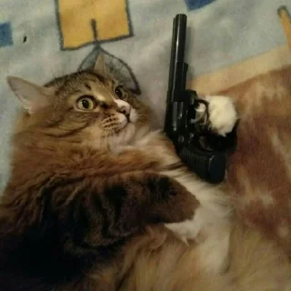 🔫 emoji Suicide cats Telegram sticker 11 of 112