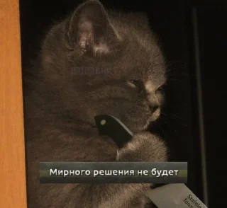 🌟 emoji Floppich/Шлёпыч Telegram sticker 24 of 115