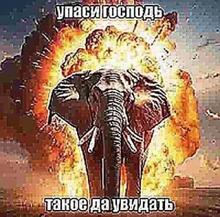 🌟 emoji посол вконтакте Telegram sticker 20 of 58