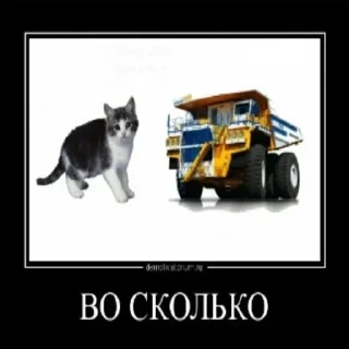 🌟 emoji посол вконтакте Telegram sticker 6 of 58