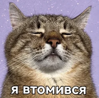😔 emoji Loveyoustepan Telegram sticker 11 of 45