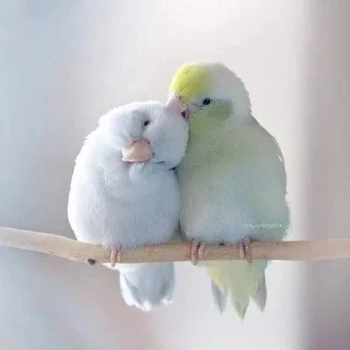 🌟 emoji Эльза в отпуске Telegram sticker 19 of 35
