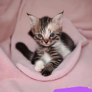 🇩🇪 emoji Вампарчини Хуйня-муйня Telegram sticker 8 of 90