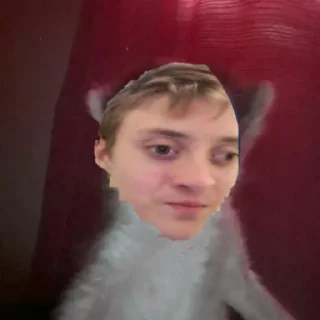 🌏 emoji Андрюшка Telegram sticker 15 of 20