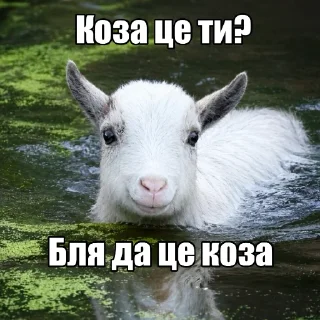🐐 emoji ПРИВІТ Я… Telegram sticker 10 of 10