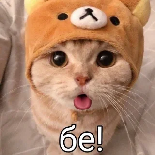 😝 emoji Ilu Telegram sticker 5 of 54