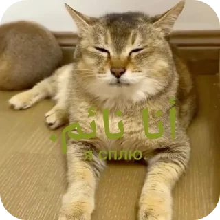 😴 emoji Tole Tole (Arabic) Telegram sticker 22 of 43