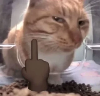 Sticker from meowwowoaoo
