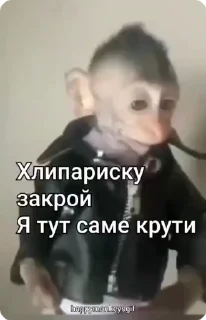 🐵 emoji Хепи монкис стикиры от @happymonkeysgif Telegram sticker 6 of 64
