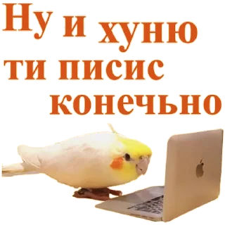 👏 emoji Попуги Дьявола @tvr_book Telegram sticker 21 of 41