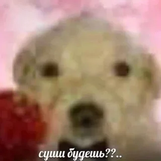 🌟 emoji Осас Telegram sticker 5 of 18
