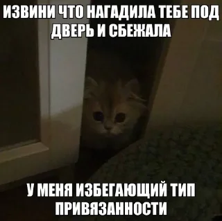 Sticker from НОРМИС (Цири)