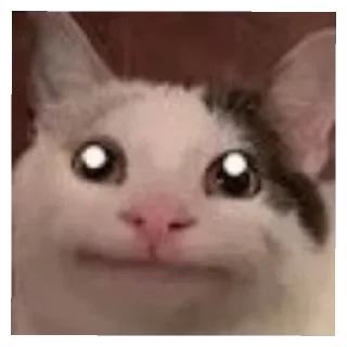 😄 emoji Китти Крейзи Кэт Telegram sticker 4 of 13