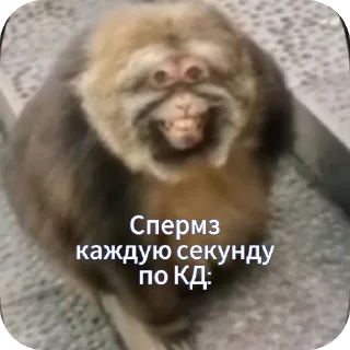 Sticker from Я гей
