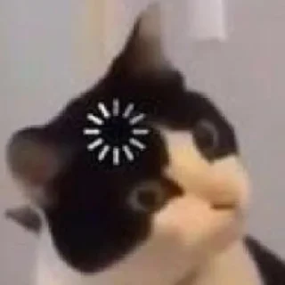 🌀 emoji Cat Telegram sticker 7 of 16