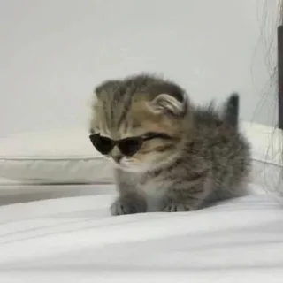 😎 emoji флаттершай и не только Telegram sticker 18 of 50
