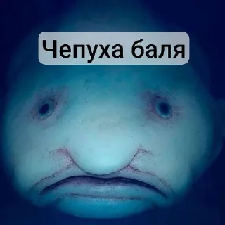 Sticker from Капля 11анал