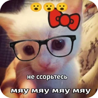 😎 emoji Киски Telegram sticker 10 of 56
