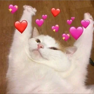 Sticker from котя — @stckrRobot