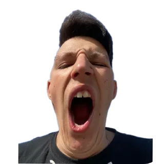 🙂 emoji Стики влада Telegram sticker 7 of 53