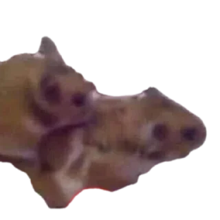 👄 emoji Стики влада Telegram sticker 24 of 53