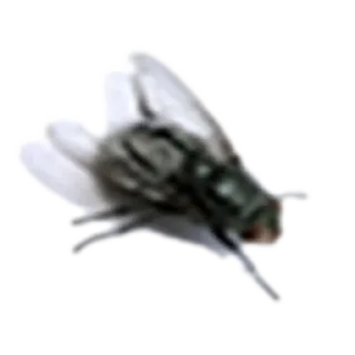🤘 emoji Стики влада Telegram sticker 16 of 53