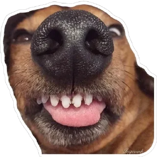 🤪 emoji Псинки Telegram sticker 11 of 26