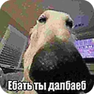 🖼 emoji Шиза Telegram sticker 11 of 118