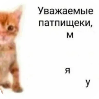 🤲 emoji Шиза Telegram sticker 23 of 118