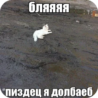 🖼 emoji Шиза Telegram sticker 14 of 118