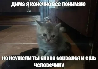 🌟 emoji метадоновый передоз Telegram sticker 16 of 28