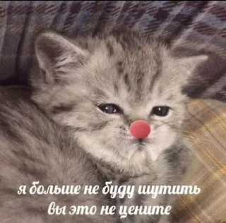 🌟 emoji метадоновый передоз Telegram sticker 10 of 28