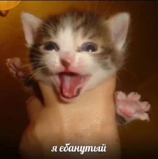 🌟 emoji метадоновый передоз Telegram sticker 22 of 28