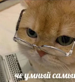 Sticker from метадоновый передоз