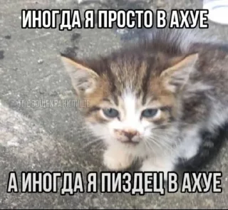 🌟 emoji метадоновый передоз Telegram sticker 8 of 28