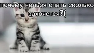🌟 emoji метадоновый передоз Telegram sticker 6 of 28