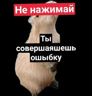 Sticker from Дизлуйк