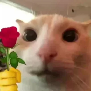💌 emoji Добро и позитив Telegram sticker 5 of 75