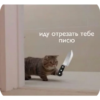 🐱 emoji Отборное искусство Telegram sticker 11 of 12