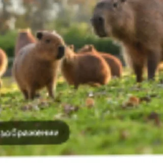 😄 emoji Батя легенда Telegram sticker 16 of 41