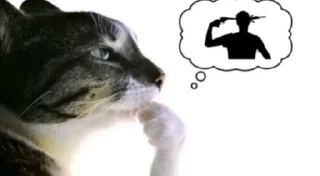 😩 emoji орєшкі біг боб Telegram sticker 15 of 107