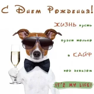 🥳 emoji Давидушка чурка Telegram sticker 23 of 28