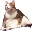 🤤 emoji Всратые животные Telegram sticker 24 of 37