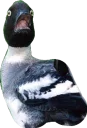 😧 emoji Всратые животные Telegram sticker 14 of 37