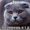 🌟 emoji Lkps Telegram sticker 5 of 16