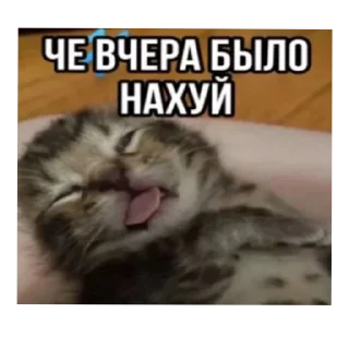😵‍💫 emoji жески бро Telegram sticker 17 of 27